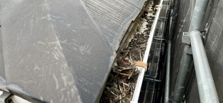 雨どい